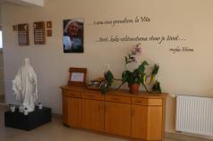 Mini IMG 5902
